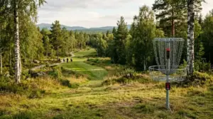 Disc Golf Betting Europa – Reglering och Marknader | KEDJEVAD
